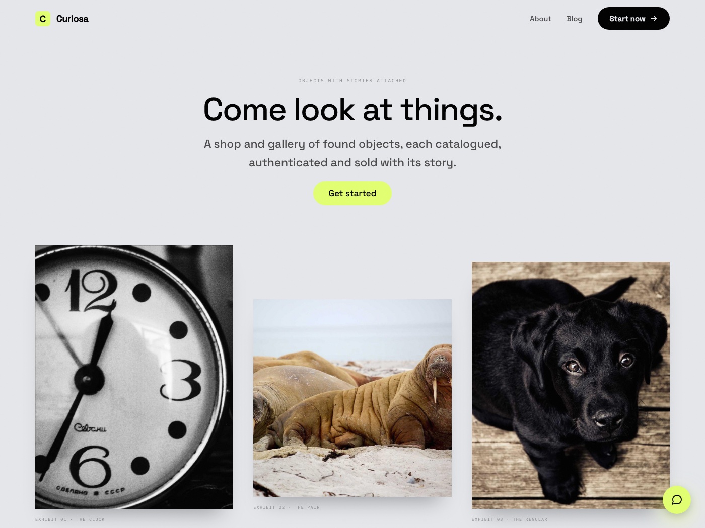 Curio design worldview: a demonstration homepage built in this architecture